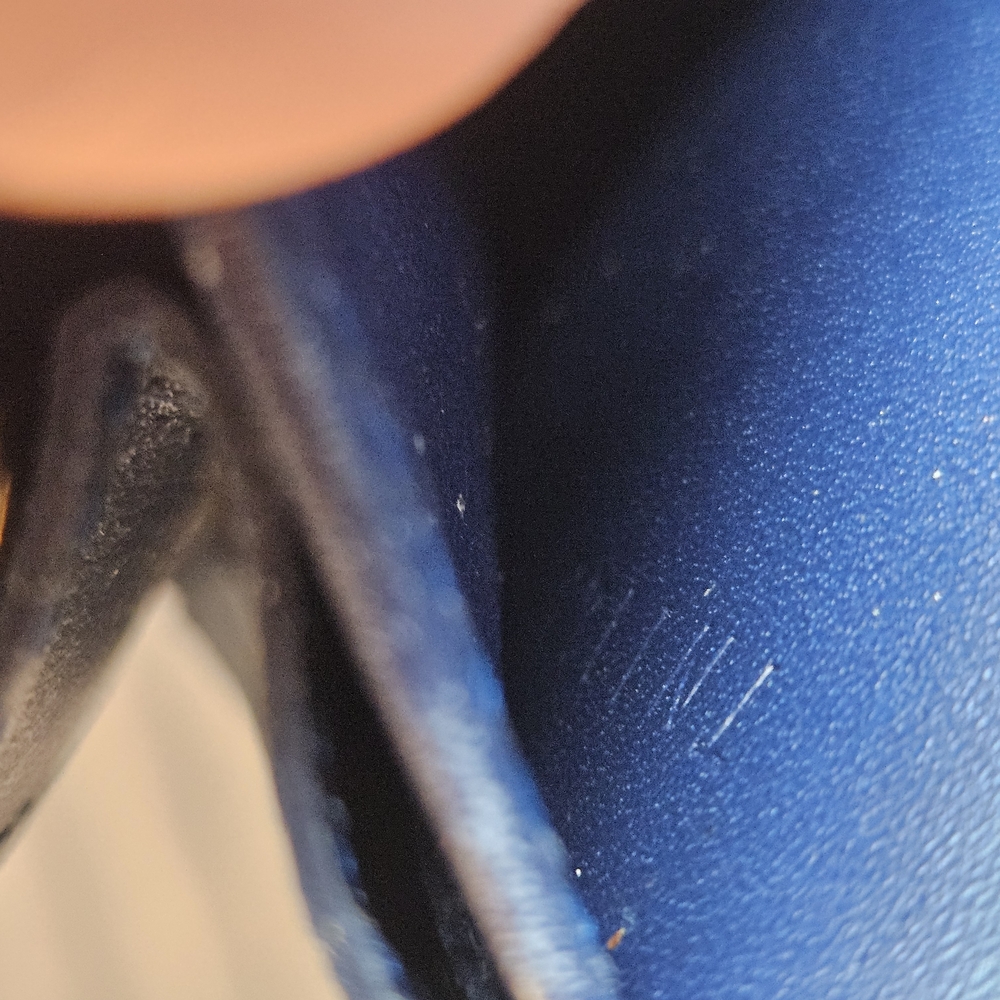 Louis Vuitton GrandBleu Shimmer Wallet 🩵💙 - Picture 5 of 13